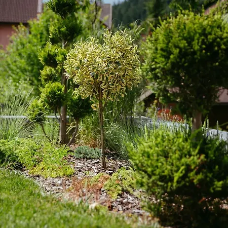 Oddih Lejlighed Bled